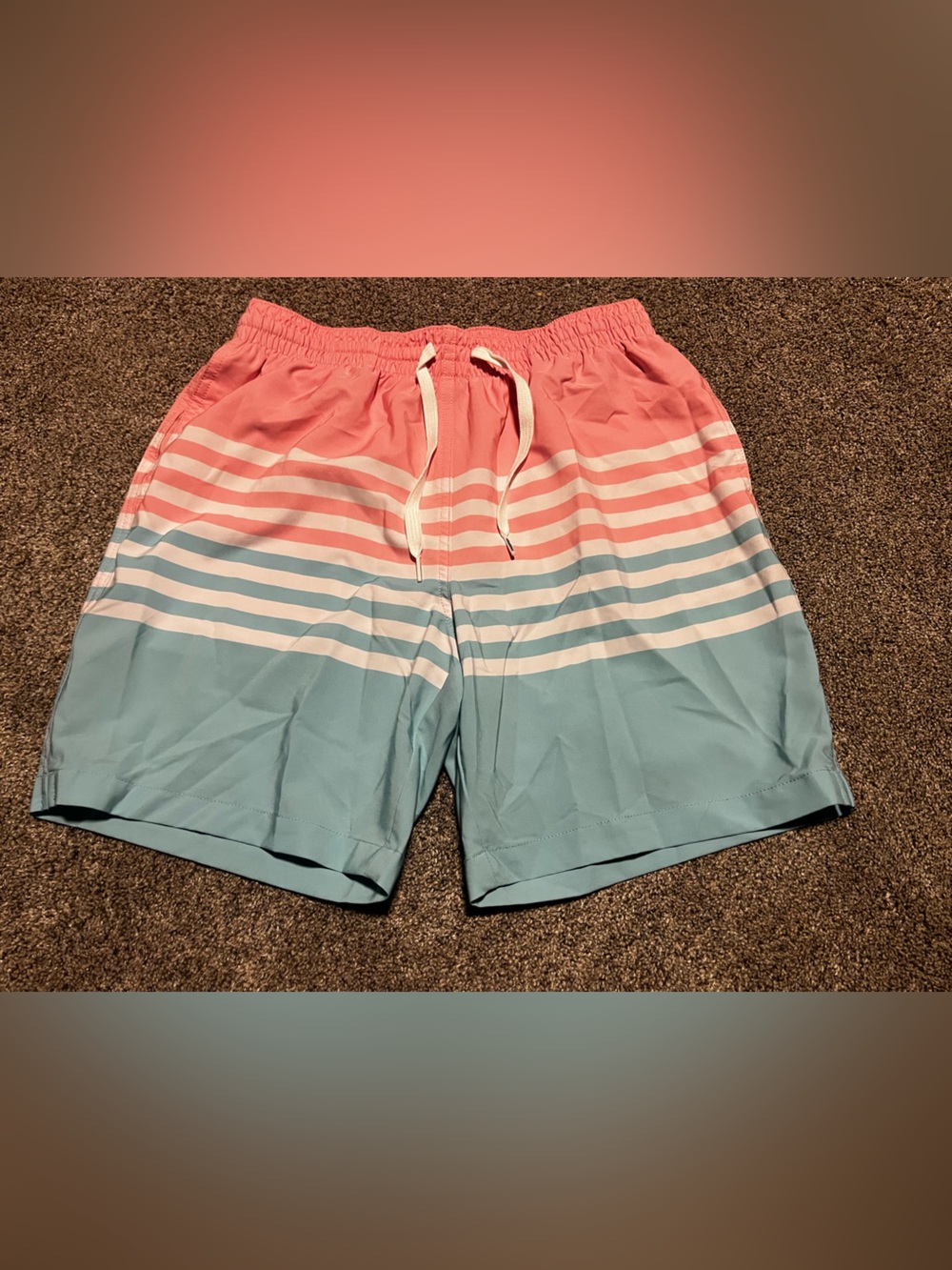 Chubbies Everywear Shorts Mens Medium Pink Colorful Striped 7" Inseam Lined Euc